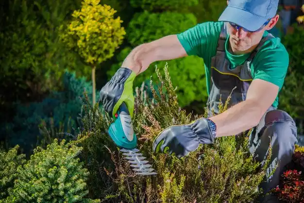 landscaping services Brockport